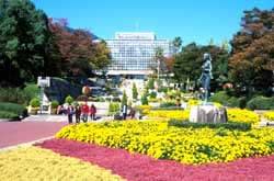広島市植物公園 植物園と温室とテーマ園は花の宝庫 花と写真に興味 わからない 教えて