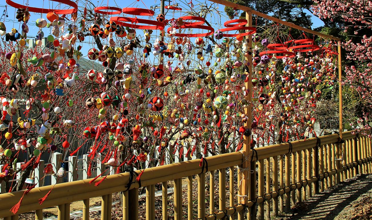 天満神社梅まつりの画像