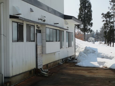 窓の雪囲い撤去 新米ペアレントの営業日誌 営業中 窓の雪囲い撤去 新米ペアレントの営業日誌 営業中