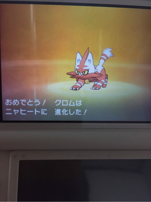 いろちがい ニャヒート やま うみ