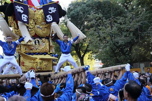 新居浜太鼓祭り 15 小太郎のまんぷく日記