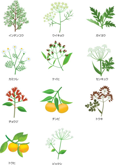 11種類の厳選された「YOSAハーブ(医薬部外品)」の素材 - 福岡 11種類の厳選された「YOSAハーブ(医薬部外品)」の素材 - 福岡