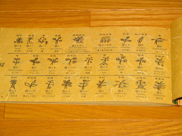 納西（ナシ）族の東巴（トンパ）文字 その2 - 地味ログ東洋硬化