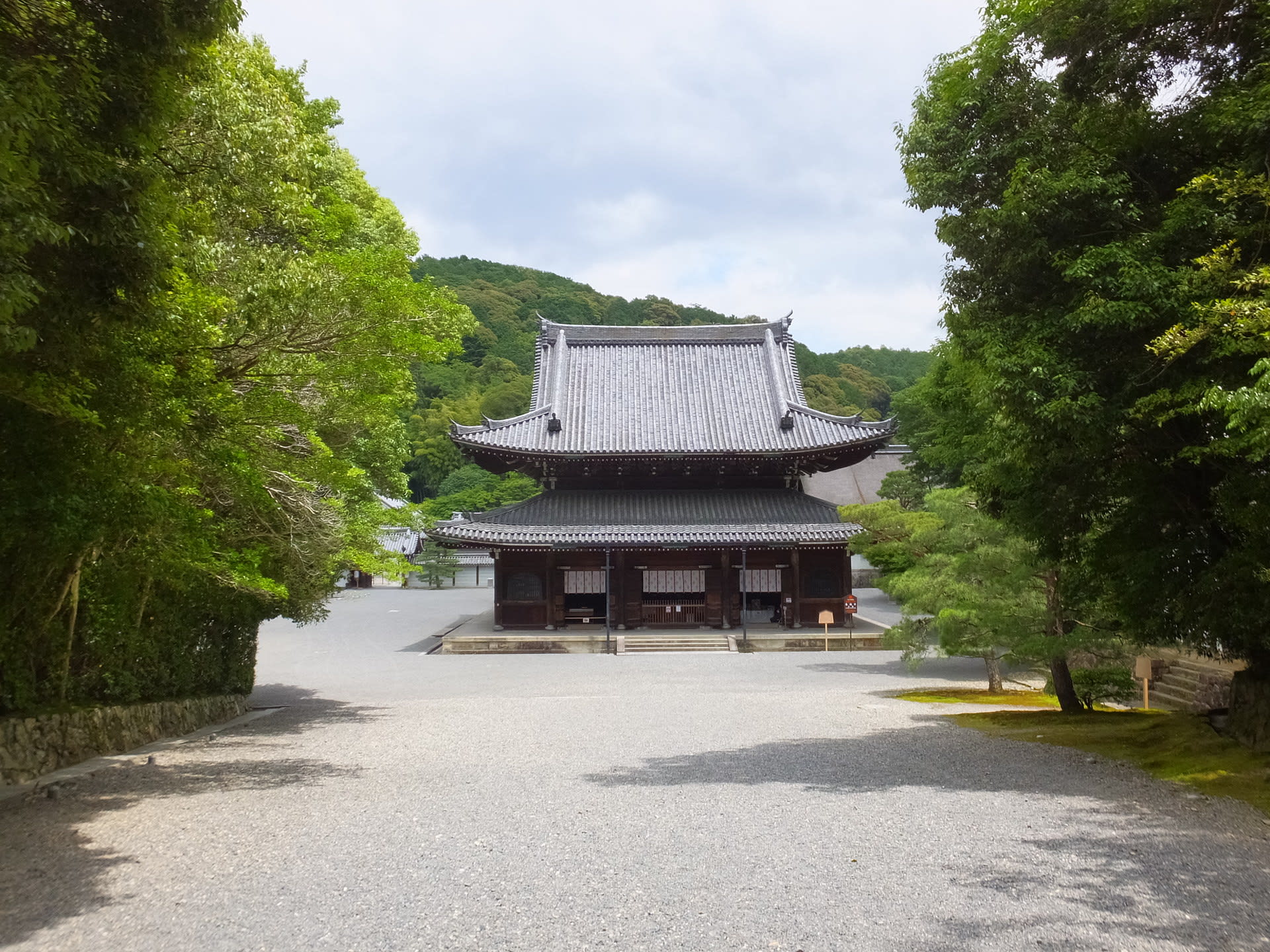 泉涌寺 今熊野観音寺の菩提樹と青紅葉 京都で定年後生活