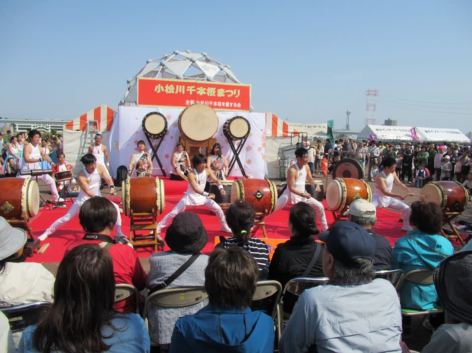 今日の小松川千本桜まつりのイベント終了致しました 天気も最高でしたね ほんと 和太鼓 とｂ級 C級 グルメ物語 東京 メタボリックシンドロームも気になる なりますよ ネェ 発