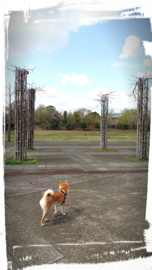 今日もお出かけ Plaza De Montes 報告書