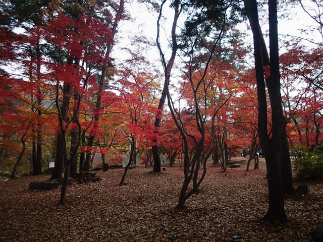 PB202174_tukinoishi_LR.jpg