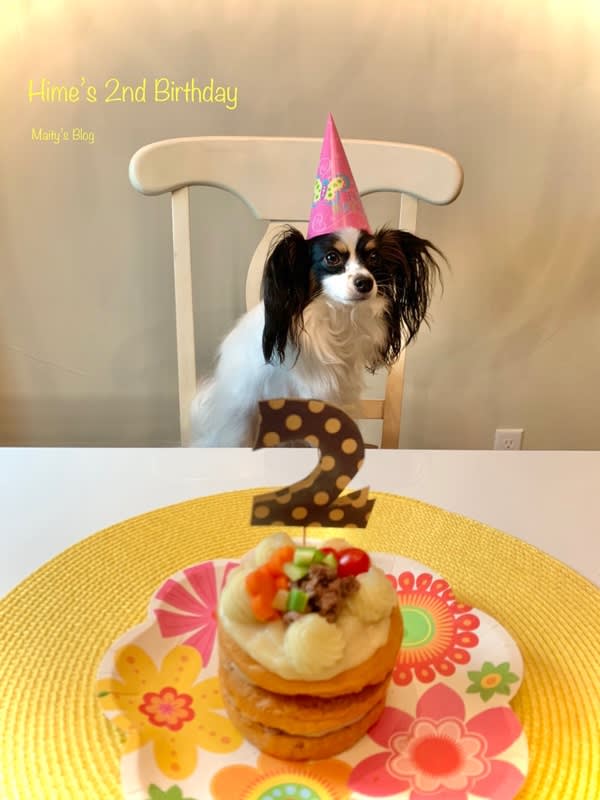 姫の2歳の誕生日 犬用ケーキとプレゼント マイティの Awesome Cooking