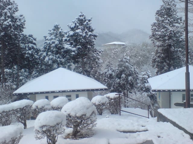 久しぶりの冬景色 北山 京の鄙の里 田舎暮らし