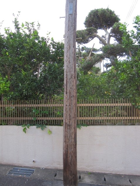 木の電柱がありました 千葉市緑区 房総閑話