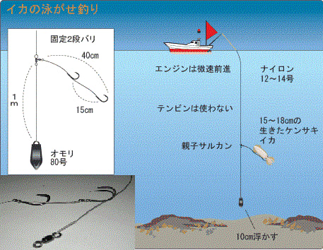 バンサレー沖での船釣り ２ イカの泳がせ釣りに挑戦してみた マグロチャンピオンの料理道場