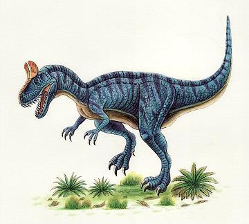 クリオロフォサウルス - 恐竜だいす記！