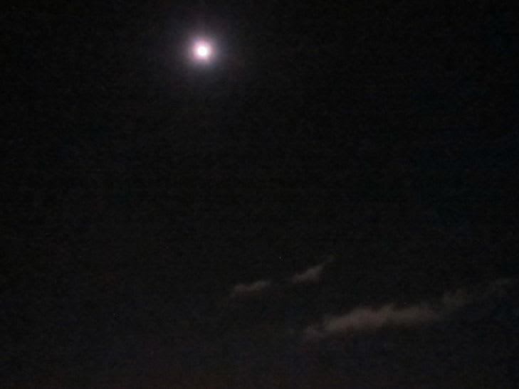 冬の夜 はらっぱのひとりごと