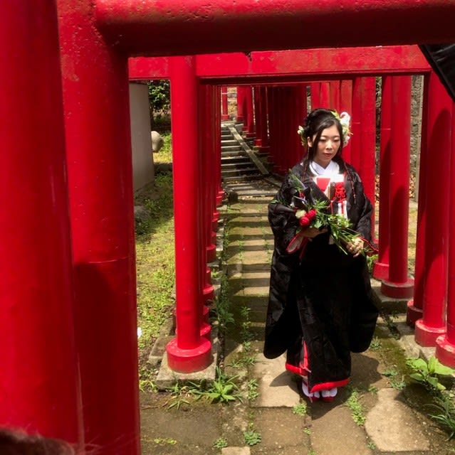 黒無垢の花嫁 荘内神社 巫女ブログ