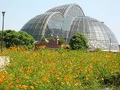都立夢の島熱帯植物館の温室になっているドーム