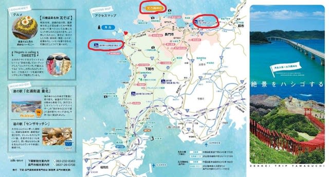 角島大橋 元乃隅神社 絶景をハシゴしたけど 一年生のブログ