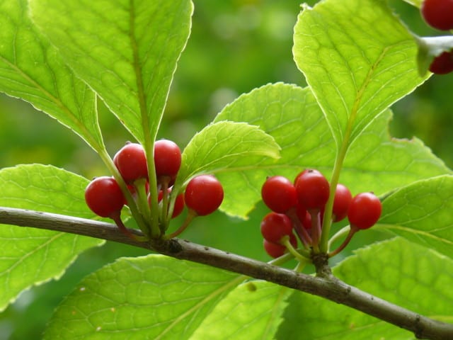 P3860467