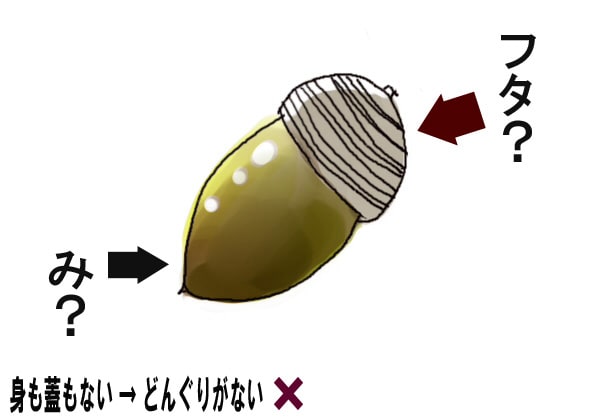 身も蓋もない の 身 とは何か の話 ケロりん魂