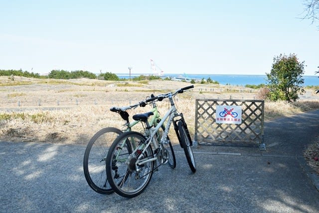 ひたち海浜公園サイクリング ワンコとマジョのくらし