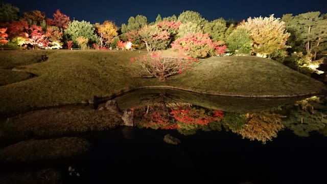 梅小路公園でライトアップされた紅葉を見ました カットハウスツイン店長まさおの １分では読めない日記