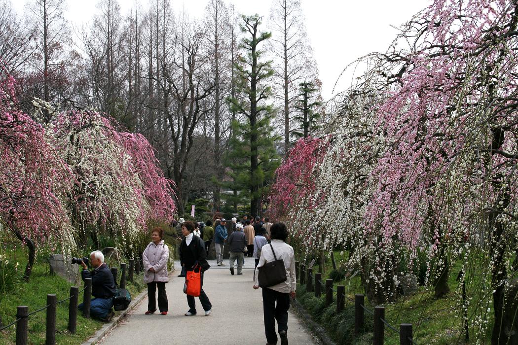 時代も変わったものですねぇ~の画像