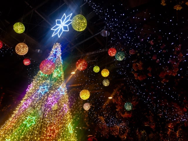 フォーゲルパーク クリスマスナイトフェスティバル17 ぽちこの工作日記