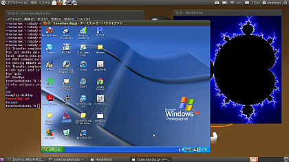 インストール Xvideoservicethief windows ubuntu