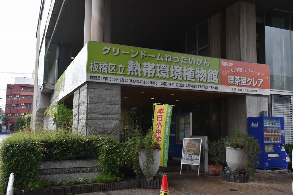 プルメリア狩り 東京都板橋区高島平 熱帯環境植物館 1 花を探して ぶらり 一人旅 プルメリア狩り 東京都板橋区高島平 熱帯環境植物館 1 花を探して ぶらり 一人旅