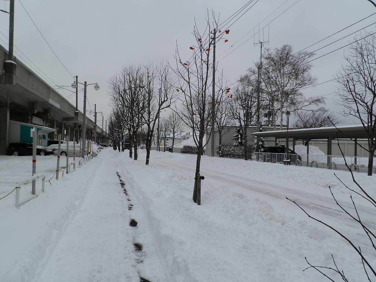 走って！歩いて！見て！北の大地！