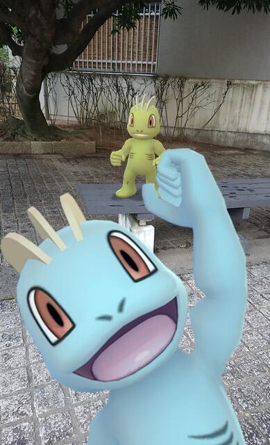 ポケモンgo ワンリキーコミュデイ ひととき 幸せ と感じる時