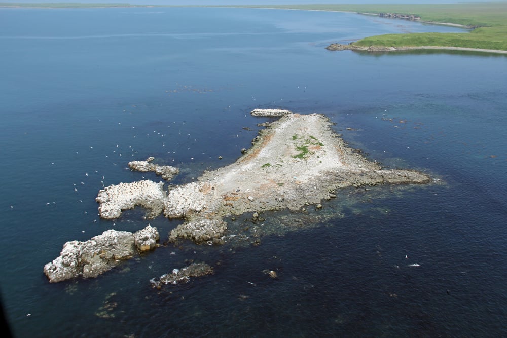歯舞諸島 空からこんにちわ ビザ無し訪問 サハリン発 N45 50 歯舞諸島 空からこんにちわ ビザ無し訪問 サハリン発 N45 50
