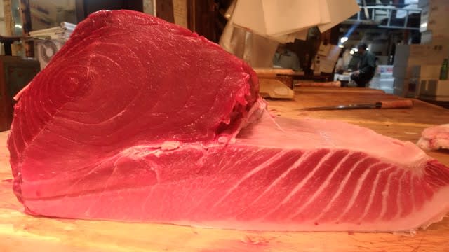 ノルウェー 築地まぐろ屋3代目 豊洲市場場内からのマグロ新鮮情報 ノルウェー 築地まぐろ屋3代目 豊洲市場場内からのマグロ新鮮情報