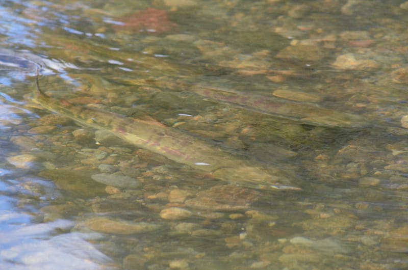 Dsc_6699_2 Dsc_6699_2