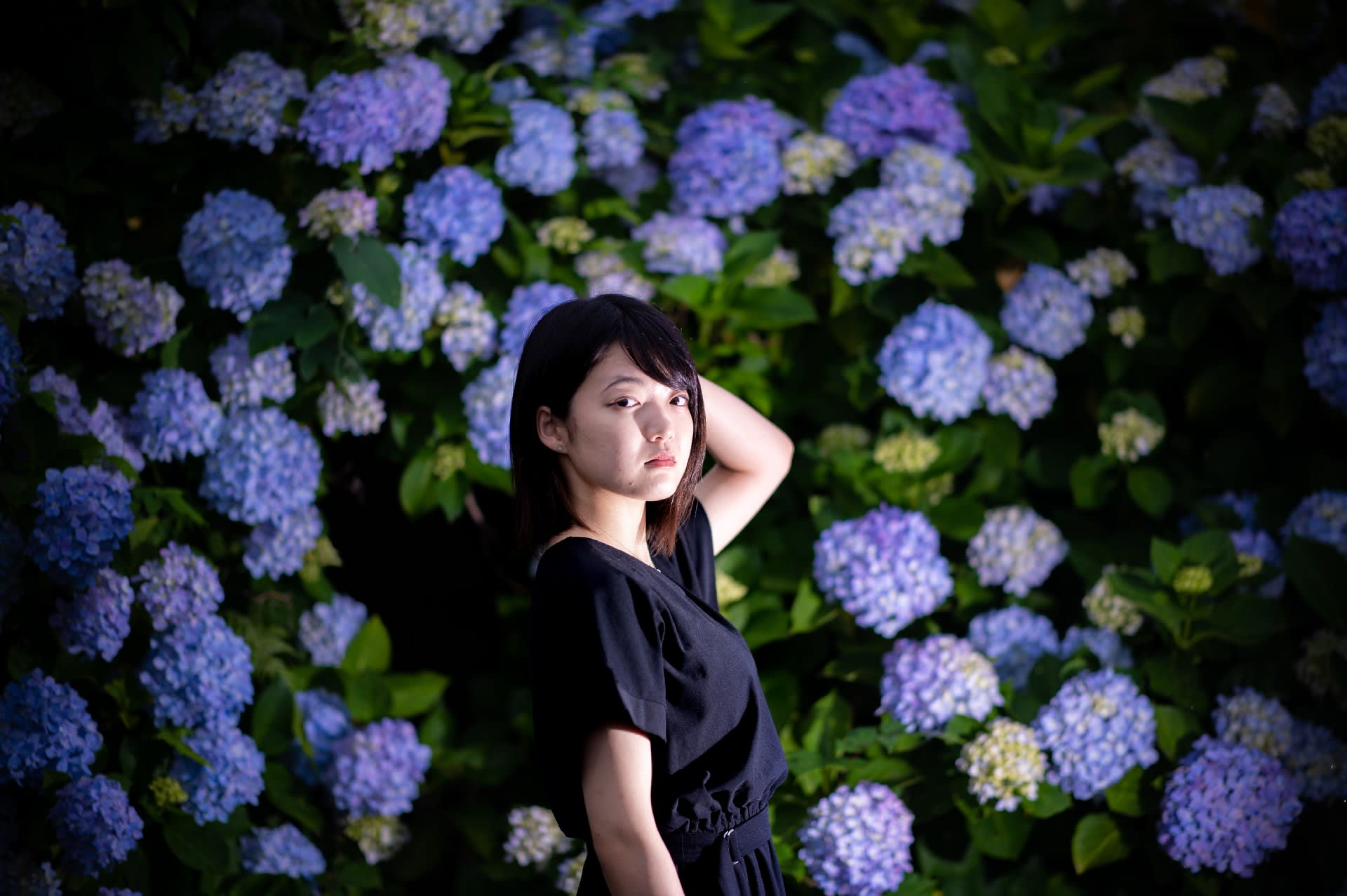 紫陽花と花菖蒲と美女と 田舎人の いつも写真と 紫陽花と花菖蒲と美女と 田舎人の いつも写真と