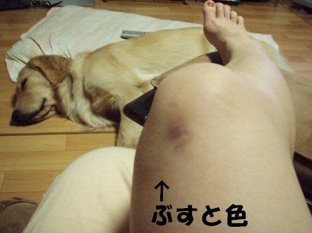 ぶすと色ってどんな色 ラウルのぐぅ たら日記 ぶすと色ってどんな色 ラウルのぐぅ たら日記