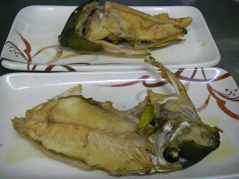 ヤチャ カワハギ 奄美へのいざない