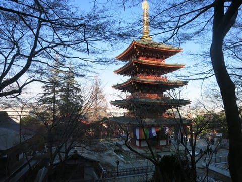 高幡不動・山内八十八ヶ所巡り - MR.コールマンの挑戦日記 高幡不動・山内八十八ヶ所巡り - MR.コールマンの挑戦日記