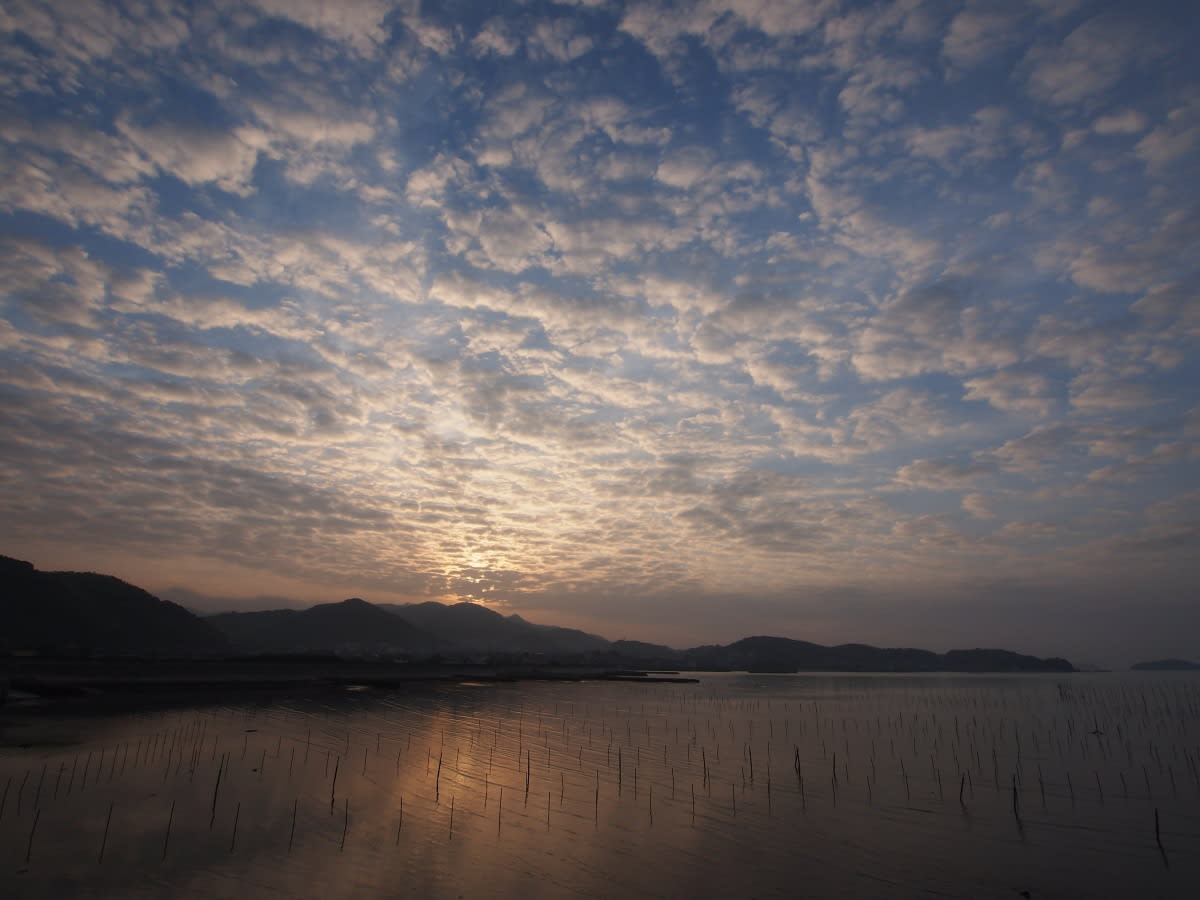 早朝の海辺の画像