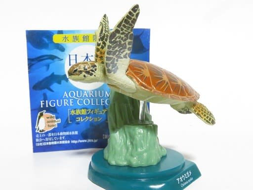 日本の水族館フィギュア アカウミガメ - お気楽忍者のブログ 弐の巻