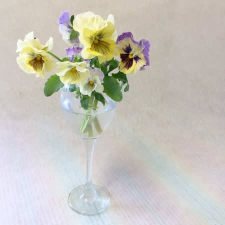 長持ちする花のお話 花のある生活