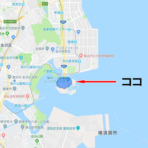神奈川 横浜金沢八景 八景島 1 18年6月 日本街角散歩 上海街角巡游 神奈川 横浜金沢八景 八景島 1 18年6月 日本街角散歩 上海街角巡游
