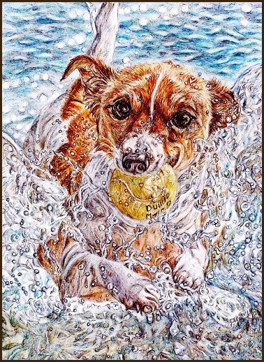 色鉛筆画555 海辺で遊ぶ犬 一期一会の想いを込めて 色鉛筆画555 海辺で遊ぶ犬 一期一会の想いを込めて
