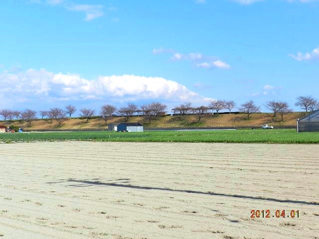 青い空の画像