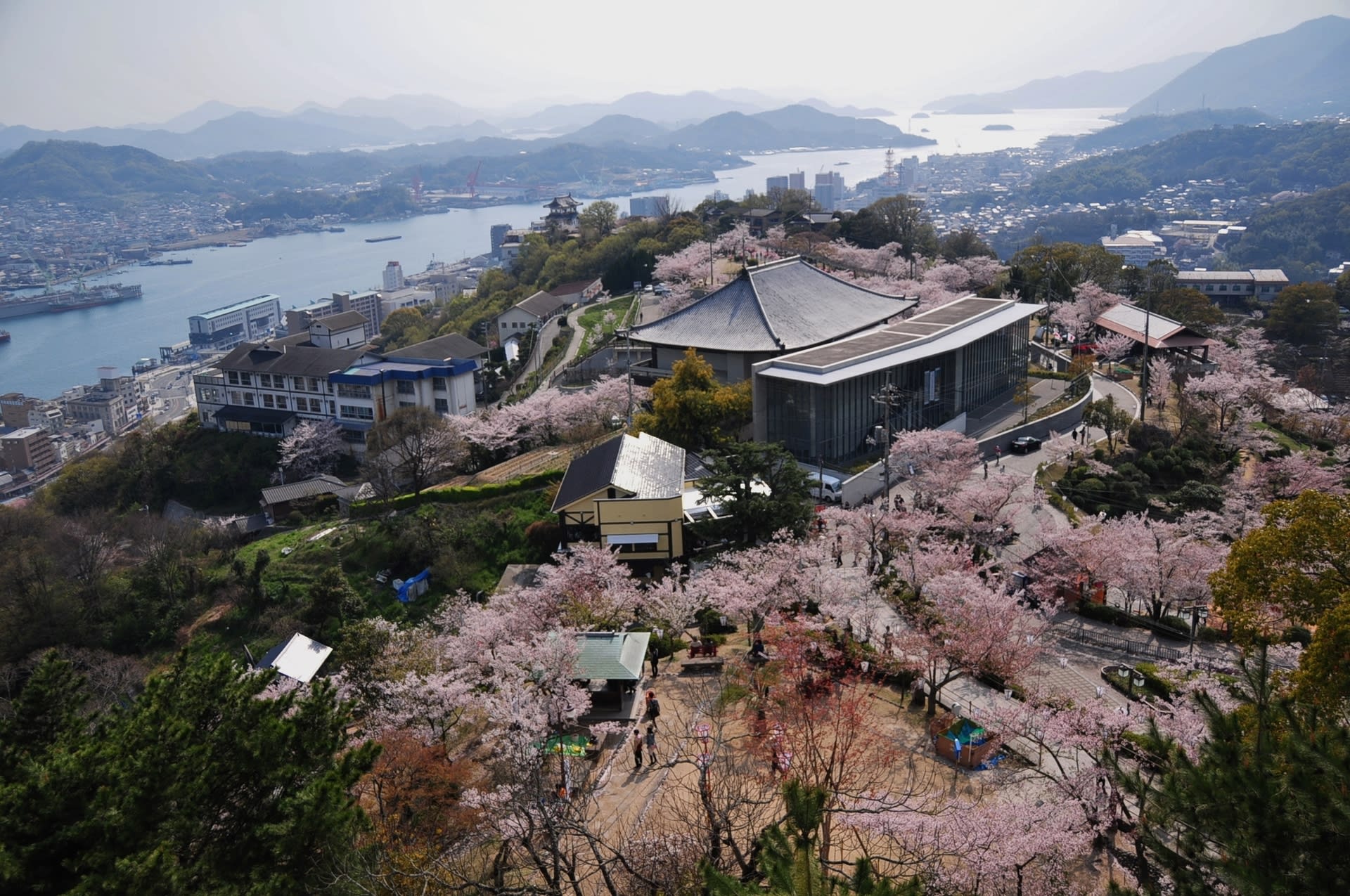 過去の写真 広島近辺の桜風景を 尾道 千光寺公園 綺麗な写真 日々出来事