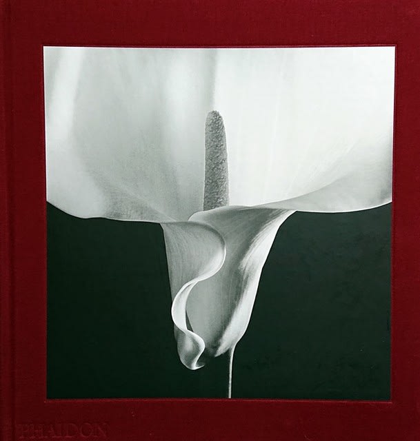 Mapplethorpe Flora The Complete Flowers 花紅柳緑 院長のブログ