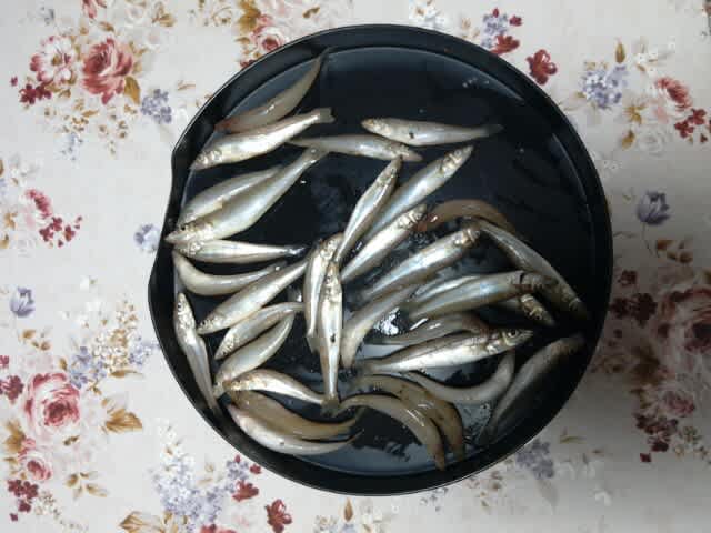 鹿島灘のキス釣り6 はるくんとそうちゃんのじいちゃんです