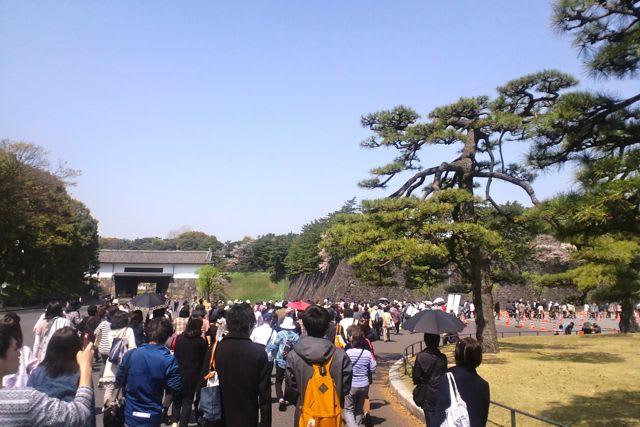 皇居乾通り通り抜け参戦 あられの日記