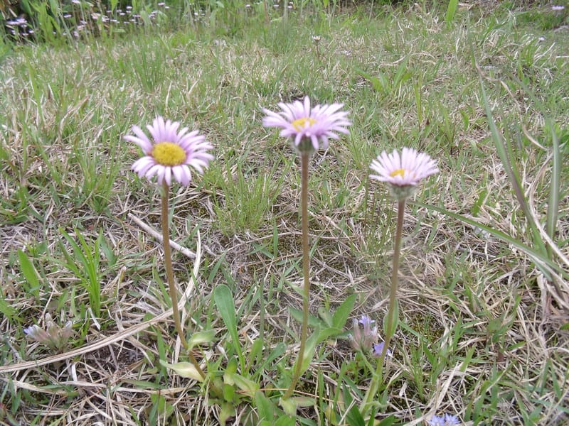 Dscf2805 Dscf2805