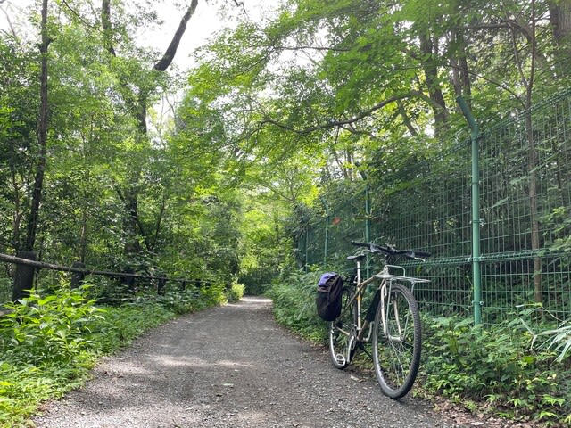 多摩湖 狭山湖 コミューターバイク 多摩湖 狭山湖 コミューターバイク