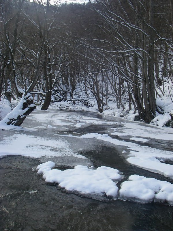 冬の渓流下流と上流 渓流in北海道